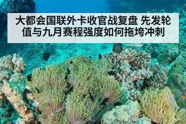 大都会国联外卡收官战复盘 先发轮值与九月赛程强度如何拖垮冲刺