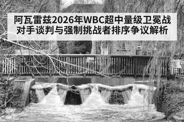 阿瓦雷兹2026年WBC超中量级卫冕战对手谈判与强制挑战者排序争议解析